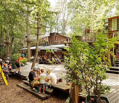 Geburtstag im Fun Forest